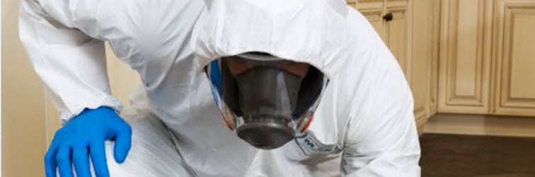 biohazard-2 biohazard-2
