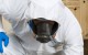 biohazard-2 biohazard-2
