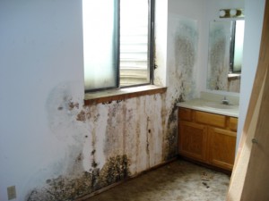 Water Damage Kenosha